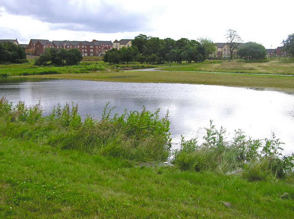 SuDS Basin at Manor Park Sheffield (with thanks to Roger Nowell at SCC)