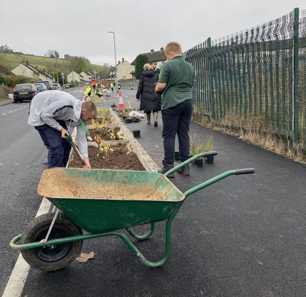 A group of people planting plants in rain gardens, with a wheelbarrow in the foreground