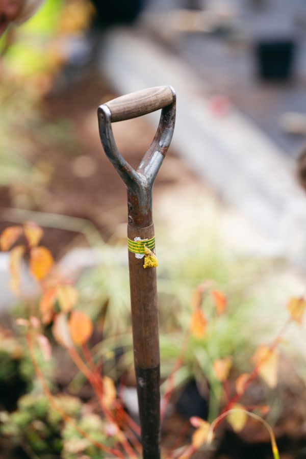 Image of a gardening fork in the ground