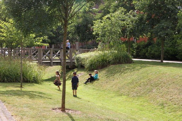 Children playing in green space with bridge in background