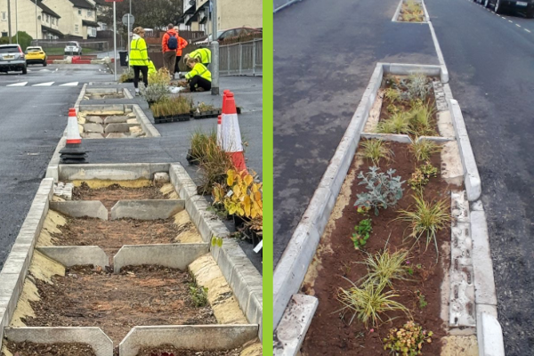 Side by side images of planted and unplanted rain gardens